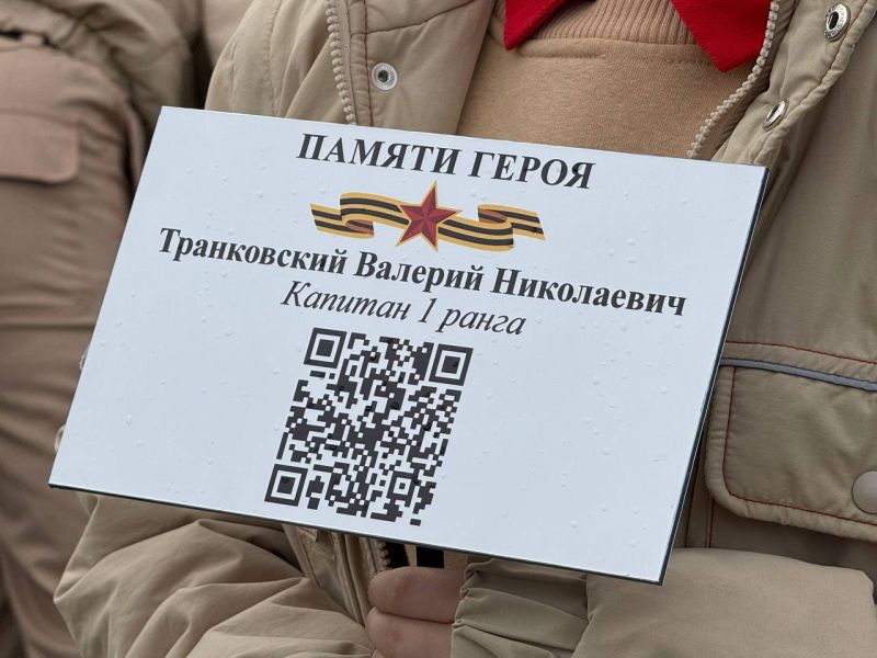 131125-транковский-кипарис-2