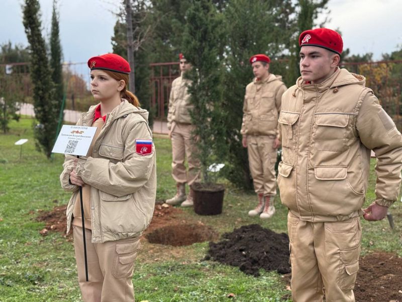 131125-транковский-кипарис-3